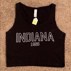 Indiana crop top